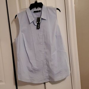 Light Blue pinstripe blouse